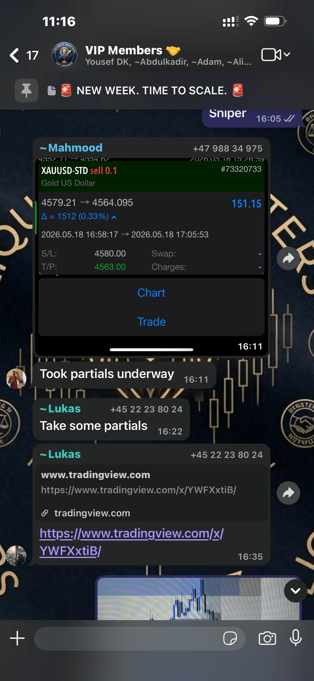 Signal dropped in group — 151 pips caught